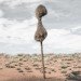 photography, art, eco-art, weaver's nests, nature knows best, climate controlled nests, africa, kalahari desert, sociable weavers, Dillon Marsh, environment, travel, nature, birds, adaptation, assimilation, africa, southern africa