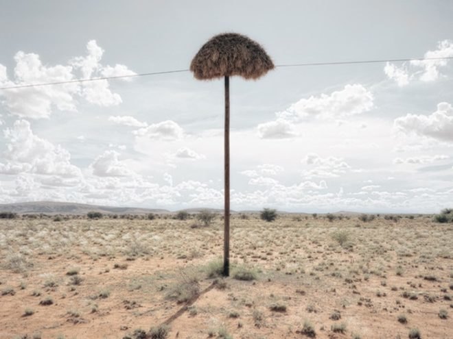 photography, art, eco-art, weaver's nests, nature knows best, climate controlled nests, africa, kalahari desert, sociable weavers, Dillon Marsh, environment, travel, nature, birds, adaptation, assimilation, africa, southern africa