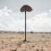 photography, art, eco-art, weaver's nests, nature knows best, climate controlled nests, africa, kalahari desert, sociable weavers, Dillon Marsh, environment, travel, nature, birds, adaptation, assimilation, africa, southern africa