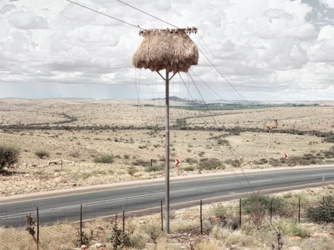 photography, art, eco-art, weaver's nests, nature knows best, climate controlled nests, africa, kalahari desert, sociable weavers, Dillon Marsh, environment, travel, nature, birds, adaptation, assimilation, africa, southern africa