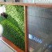 AWeber Communications, GSky Green Wall, green wall, sustainable design, green design, gardening, botanical, living wall, green interiors, sustainable interiors, indoor garden, Chalfont, Pennsylvania, indoor slides, green building