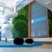 AWeber Communications, GSky Green Wall, green wall, sustainable design, green design, gardening, botanical, living wall, green interiors, sustainable interiors, indoor garden, Chalfont, Pennsylvania, indoor slides, green building
