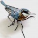 barbara franc, recycled materials, green design, sustainable design, eco art, discarded objects