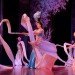 Chinese dance, chinese dancers, chinese dance sampler, Xian Dance Troupe