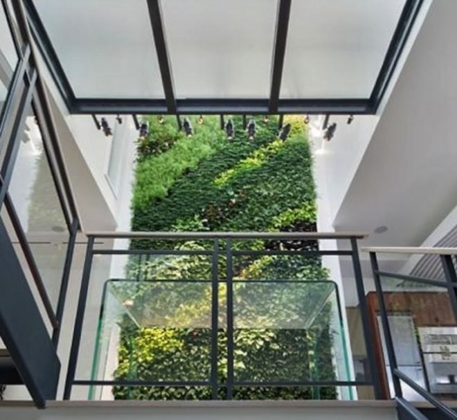305 degraw street, cobble hill, street easy, green living wall, giant living wall, cobble hill townhouse, brooklyn real estate, 305 degraw street renovation, new york green homes, nyc green apartments, nyc eco friendly rentals, nyc eco friendly apartment rentals
