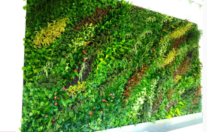 vertical gardens technology, vertical gardens technology llc, vertical gardens, vertical gardens nyc, nyc green wall, green wall, vertical gardens in new york, green new york, green nyc, nyc green art