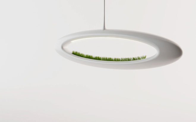 the grass lamp, hydroponic, marko vuckovic, plant, light fixture, industrial design
