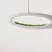 the grass lamp, hydroponic, marko vuckovic, plant, light fixture, industrial design