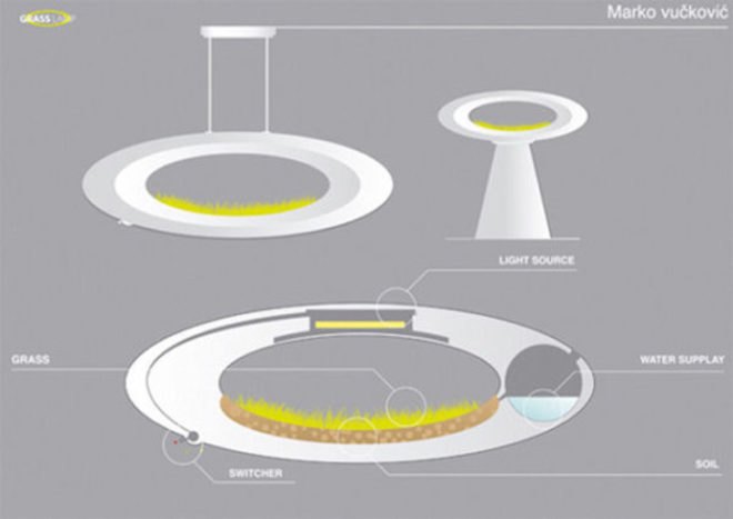 the grass lamp, hydroponic, marko vuckovic, plant, light fixture, industrial design