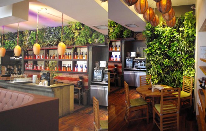 vertical gardens technology, vertical gardens technology llc, vertical gardens, vertical gardens nyc, nyc green wall, green wall, vertical gardens in new york, green new york, green nyc, nyc green art