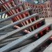 Design Trust for Public Space, eco design, green design, heartwalk, Hurricane Sandy, hurricane sandy boardwalk, Public Art, situ, situ studio, sustainable design, Times Square, times square alliance, Times Square Arts, Valentine’s Day, valentine’s day times square