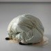 Kristof Kintera, everday objects, sustainable design, green art, reused objects, inventive art