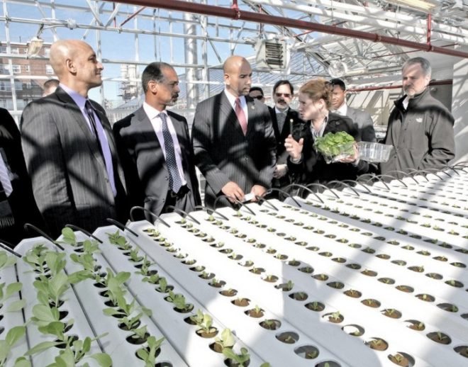 urban farm, nyc affordable housing, new york city housing authority, mayor michael bloomberg, blue sea development, abs architecture, morrisania bronx, arbor house, arbor house nyc, arbor house bronx, affordable housing green, new housing marketplace plan, beatrice coron
