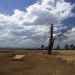 urban design, parallax landscape, transiting cities, competition, latrobe city, victoria, australia, brownfield, recovery, coal power, electrical generation