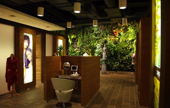 vertical gardens technology, vertical gardens technology llc, vertical gardens, vertical gardens nyc, nyc green wall, green wall, vertical gardens in new york, green new york, green nyc, nyc green art