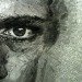 jamie poole, portrait, love letters, poems, text, words, collage, face