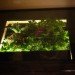 terrarium desk, daniel zeller, terrariums, diy terrarium, plan terrariums, terrarium furniture, living furniture, garden furnitue