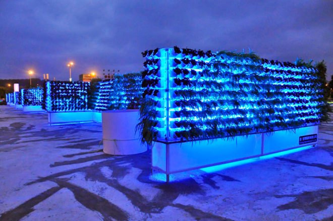 miniwiz, verticult, green wall, eco design, sustainable design, growing wall, environmental design, post consumer waste