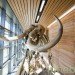 Welcome Center, Southeast Wyoming, Anderson Mason Dale Architects, Wyoming, Rest Area, Rammed Earth