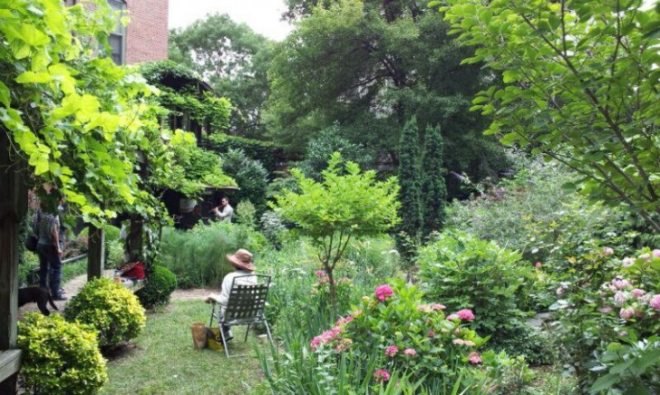 fort greene, clinton community garden, 6bc garden, greenbelt park, alley pond park, spring time in new york city, botanical garden nyc, van courtland park, hells kitchen, staten island,