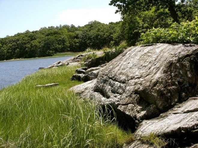 nyc, nyc parks, nyc picnic spots, nyc best parks, alley pond park, pelham park, prospect park, greenbelt moses mountain, central park