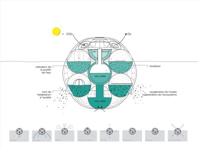 Bloom Phytoplankton Farm, Sitbon Architectes, phytoplankton, floating building, rising sea levels, global warming, carbon dioxide, fresh water, Architizer A+Awards, carbon footprint, water issues, marine life