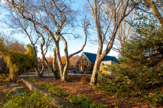 Café Botanical, Kollgata Arkitektur, akureyri botanical gardens, botanical gardens, iceland, eco cafe