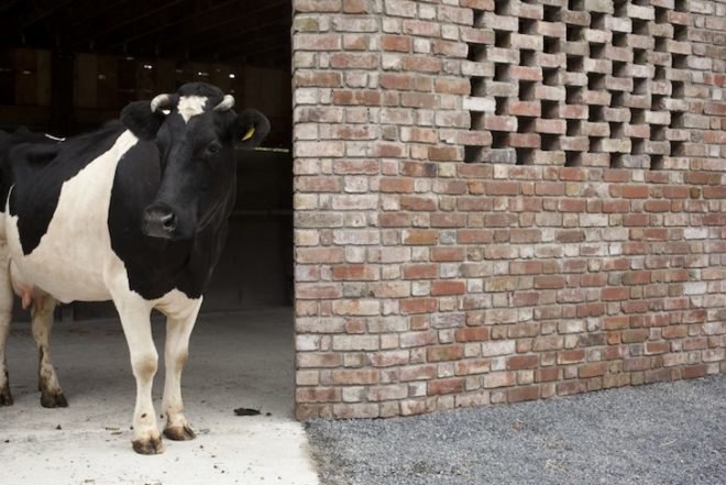 rainwater capture, cowshed, The Cowshed Collective, Ireland, Camphill Callan Community, Commonage, sustainable design, daylighting, natural light, reclaimed materials, recycled materials, Cowshed, farm, collaborative design