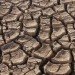 global temperature rise, carbon emissions, greenhouse emissions, National Oceanic and Atmospheric Administration (NOAA), fossil fuels, environmental destruction, coal, carbon dioxide levels, carbon study, climate change, global warming