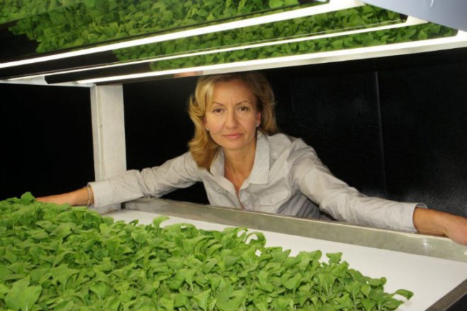 FarmedHere, Indoor Farm, urban farming, chicago, aquaponics, aeroponics, organic indoor farm, vertical farm
