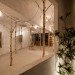Ryo Isobe, Japan, Onico Beauty Salon, Osaka, urban design, woodland, fantasy woodland, antiques, DIY, daylighting, Japanese minimalism, birch trees, moody antiques, sustainable design, green design, eco-design