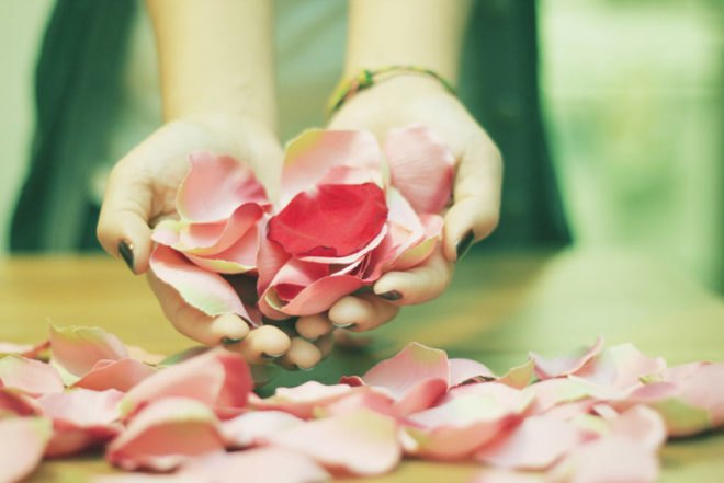 rose petal sugar body scrub