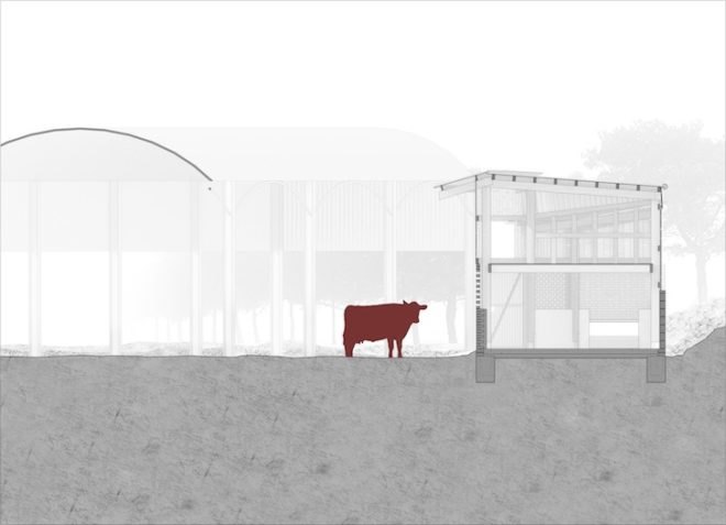 rainwater capture, cowshed, The Cowshed Collective, Ireland, Camphill Callan Community, Commonage, sustainable design, daylighting, natural light, reclaimed materials, recycled materials, Cowshed, farm, collaborative design