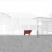 rainwater capture, cowshed, The Cowshed Collective, Ireland, Camphill Callan Community, Commonage, sustainable design, daylighting, natural light, reclaimed materials, recycled materials, Cowshed, farm, collaborative design