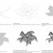 MATSYS, Shellstar Pavilion, spidery shellstar pavilion, temporary design, parametric modeling, Detour design festival, Hong Kong, China, sustainable design, eco-design, green design, urban design