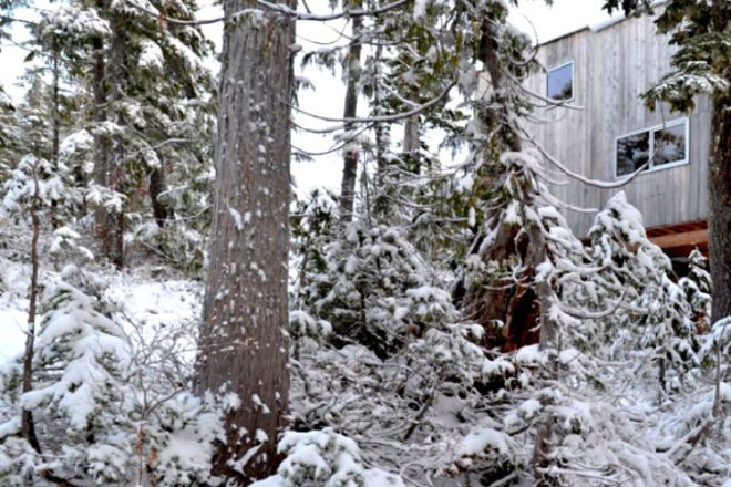 Snowboard Cabin, Scott and Scott Architects, rustic cabin, off grid cabin, vancouver island, vancouver, cabin retreat