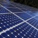 BioSolar Backsheets, solar panels, clean energy, green technology, castor beans solar panels, cotton solar panels, photovoltaic cells, solar industry, renewable energy sources