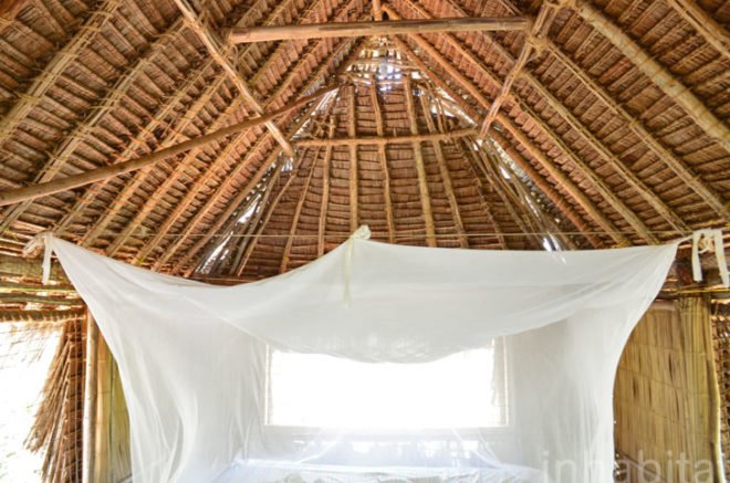 Andy Barbour, Diani Beach, Kenya, eco-tourism, backpackers, green design, sustainable design, eco-design, makuti roofers, palm roof, thatched roof, treehouses, Kenya, Africa, Coral Rag Forest, tourism, sustainable materials, sustainable building, natural ventilation, solar heated water, wildlife