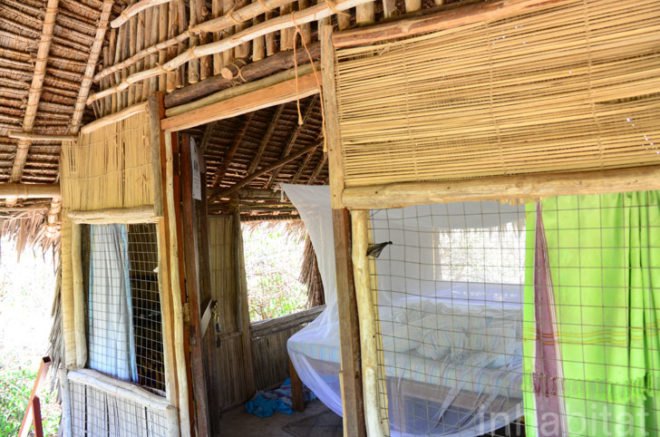 Andy Barbour, Diani Beach, Kenya, eco-tourism, backpackers, green design, sustainable design, eco-design, makuti roofers, palm roof, thatched roof, treehouses, Kenya, Africa, Coral Rag Forest, tourism, sustainable materials, sustainable building, natural ventilation, solar heated water, wildlife