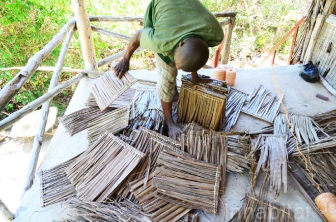 Andy Barbour, Diani Beach, Kenya, eco-tourism, backpackers, green design, sustainable design, eco-design, makuti roofers, palm roof, thatched roof, treehouses, Kenya, Africa, Coral Rag Forest, tourism, sustainable materials, sustainable building, natural ventilation, solar heated water, wildlife
