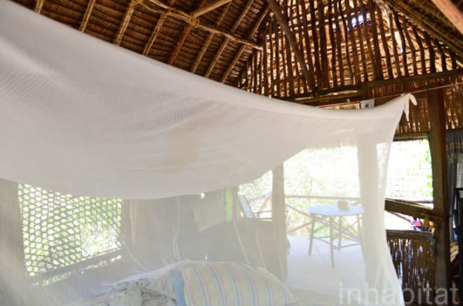 Andy Barbour, Diani Beach, Kenya, eco-tourism, backpackers, green design, sustainable design, eco-design, makuti roofers, palm roof, thatched roof, treehouses, Kenya, Africa, Coral Rag Forest, tourism, sustainable materials, sustainable building, natural ventilation, solar heated water, wildlife