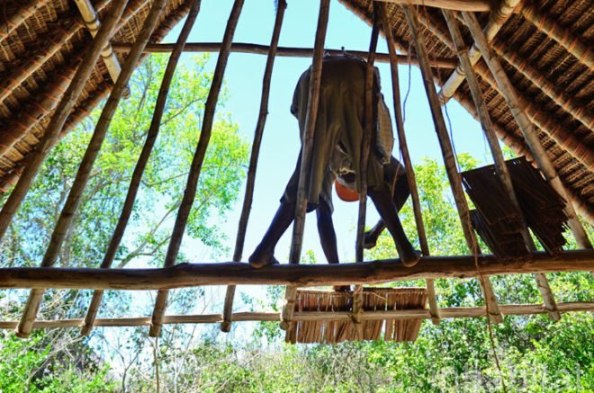 Andy Barbour, Diani Beach, Kenya, eco-tourism, backpackers, green design, sustainable design, eco-design, makuti roofers, palm roof, thatched roof, treehouses, Kenya, Africa, Coral Rag Forest, tourism, sustainable materials, sustainable building, natural ventilation, solar heated water, wildlife