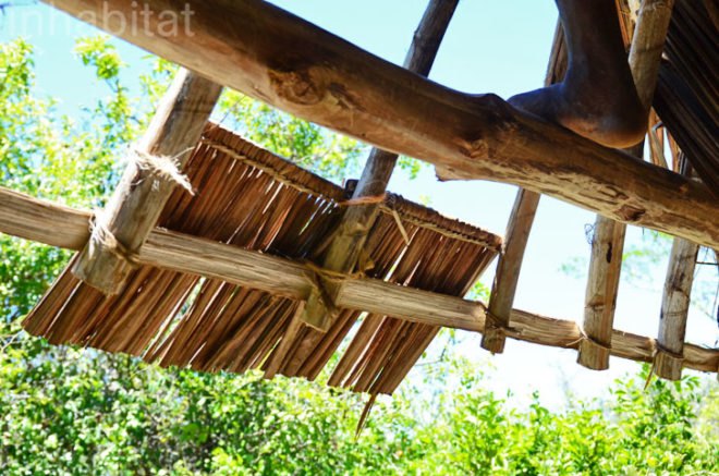 Andy Barbour, Diani Beach, Kenya, eco-tourism, backpackers, green design, sustainable design, eco-design, makuti roofers, palm roof, thatched roof, treehouses, Kenya, Africa, Coral Rag Forest, tourism, sustainable materials, sustainable building, natural ventilation, solar heated water, wildlife