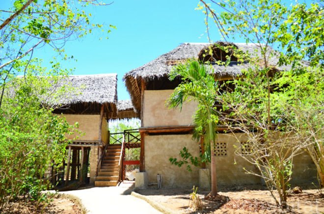 Andy Barbour, Diani Beach, Kenya, eco-tourism, backpackers, green design, sustainable design, eco-design, makuti roofers, palm roof, thatched roof, treehouses, Kenya, Africa, Coral Rag Forest, tourism, sustainable materials, sustainable building, natural ventilation, solar heated water, wildlife