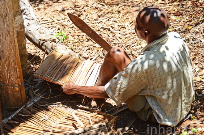 Andy Barbour, Diani Beach, Kenya, eco-tourism, backpackers, green design, sustainable design, eco-design, makuti roofers, palm roof, thatched roof, treehouses, Kenya, Africa, Coral Rag Forest, tourism, sustainable materials, sustainable building, natural ventilation, solar heated water, wildlife