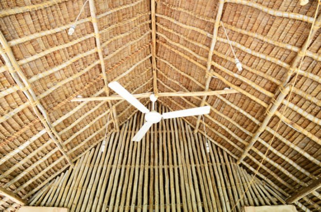 Andy Barbour, Diani Beach, Kenya, eco-tourism, backpackers, green design, sustainable design, eco-design, makuti roofers, palm roof, thatched roof, treehouses, Kenya, Africa, Coral Rag Forest, tourism, sustainable materials, sustainable building, natural ventilation, solar heated water, wildlife