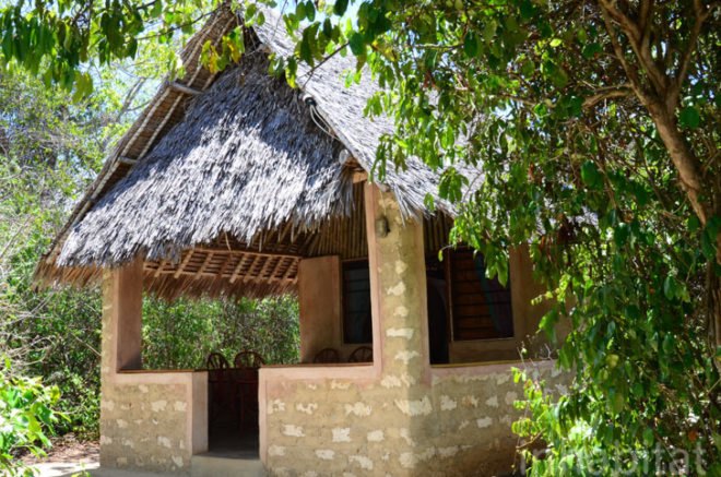 Andy Barbour, Diani Beach, Kenya, eco-tourism, backpackers, green design, sustainable design, eco-design, makuti roofers, palm roof, thatched roof, treehouses, Kenya, Africa, Coral Rag Forest, tourism, sustainable materials, sustainable building, natural ventilation, solar heated water, wildlife