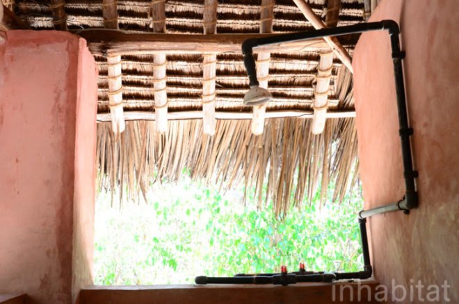 Andy Barbour, Diani Beach, Kenya, eco-tourism, backpackers, green design, sustainable design, eco-design, makuti roofers, palm roof, thatched roof, treehouses, Kenya, Africa, Coral Rag Forest, tourism, sustainable materials, sustainable building, natural ventilation, solar heated water, wildlife