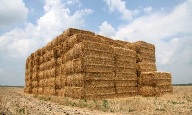 concrete, kansas state university, biofuel, waste, durable, strong, high-ash lignin, cellulosic ethanol