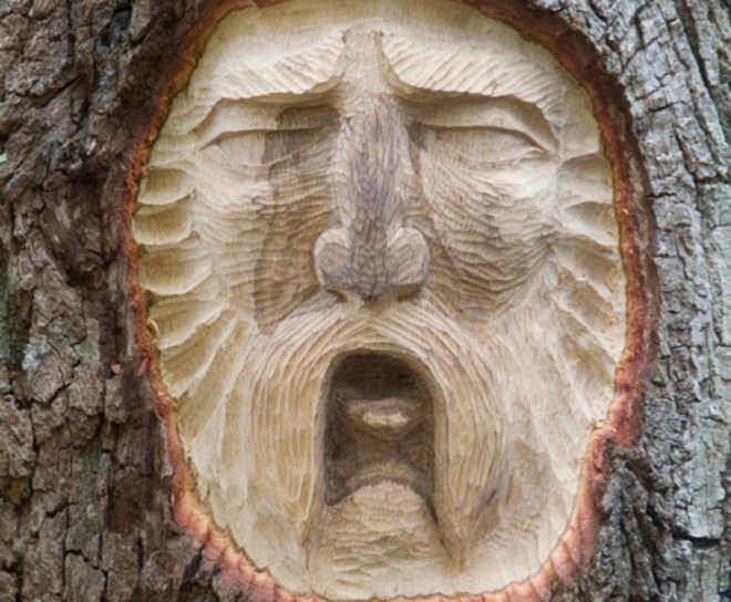 tree spirits, keith jennings, carve, oak, tree, portrait, st simons island, georgia, sailor, commission